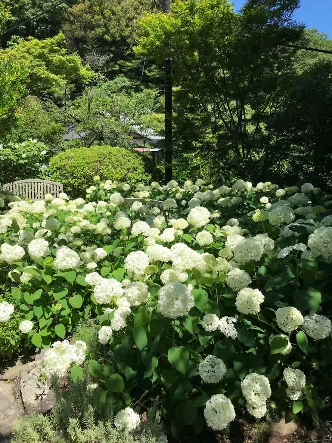 Children'S Cafe B&B Kimie Kamakura Japan